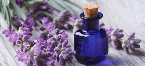 Aceite del Dinero